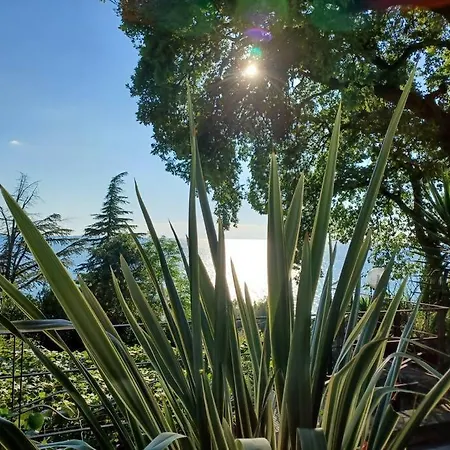 Brezza Marina - In Fronte Mare Tatil Evi Trieste