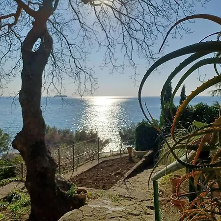 Brezza Marina - In Fronte Mare Tatil Evi